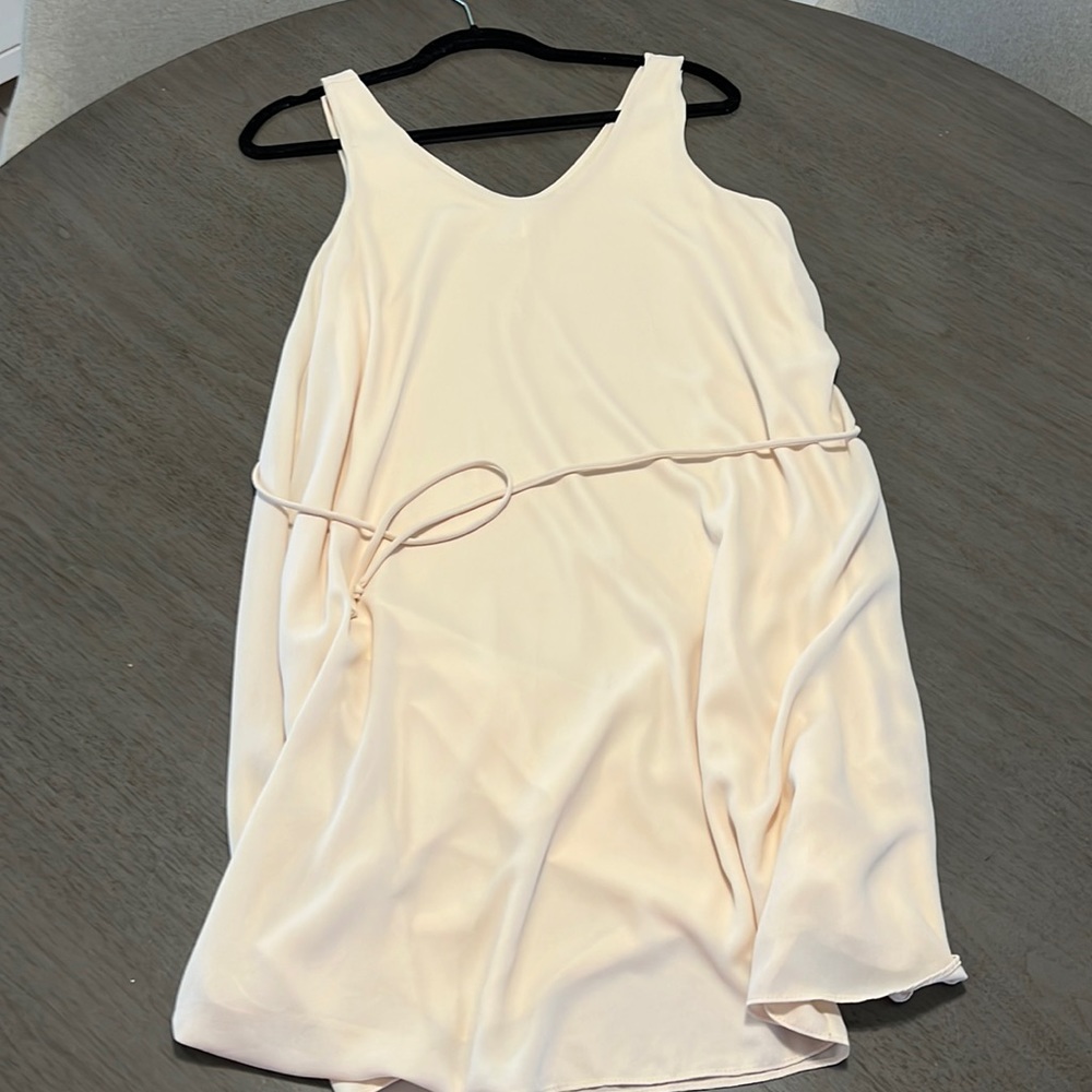 Pinkblush Maternity Dress